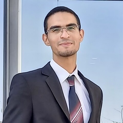 Ahmed H. Abdelrazik